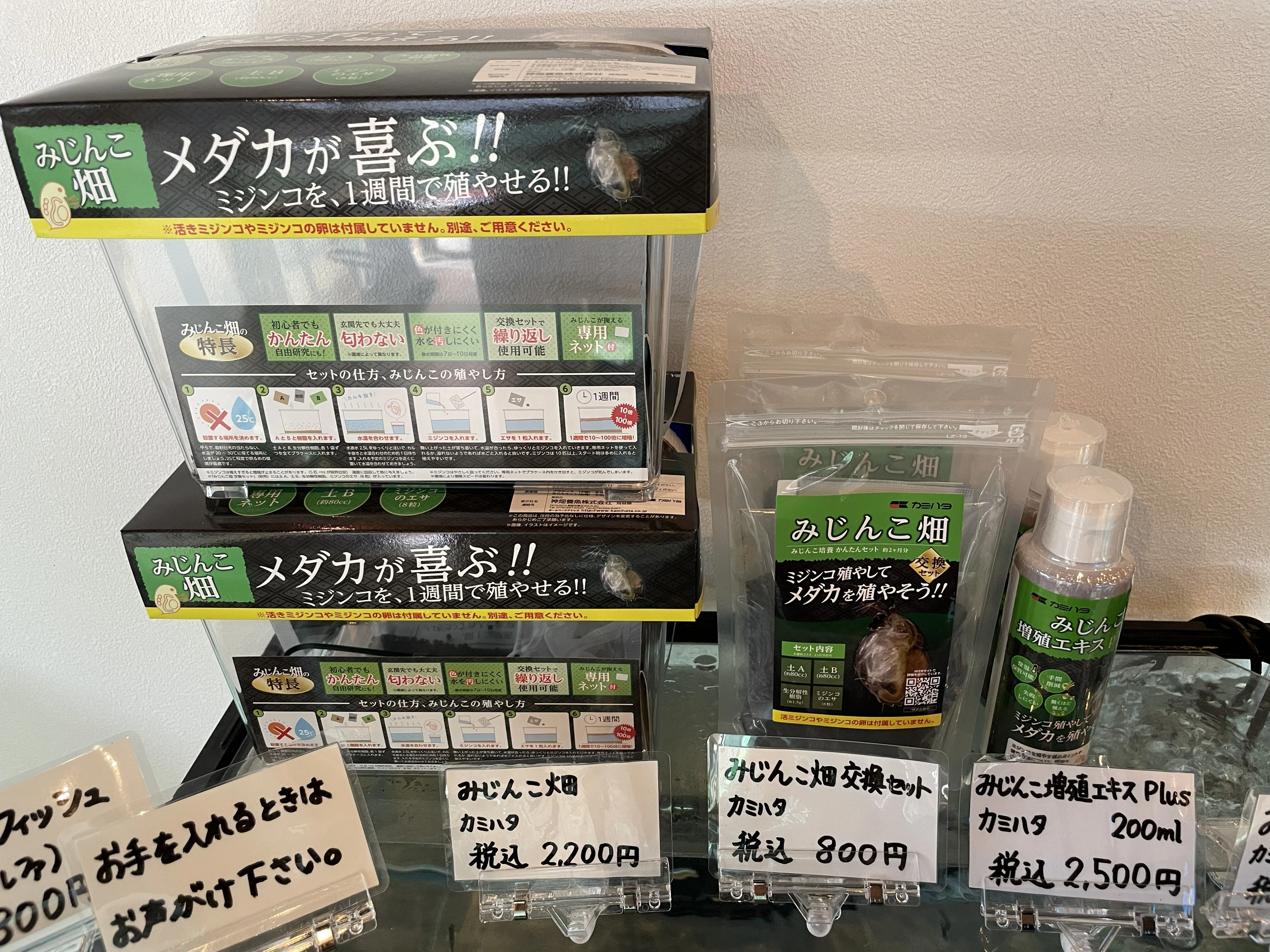 ダウンロード