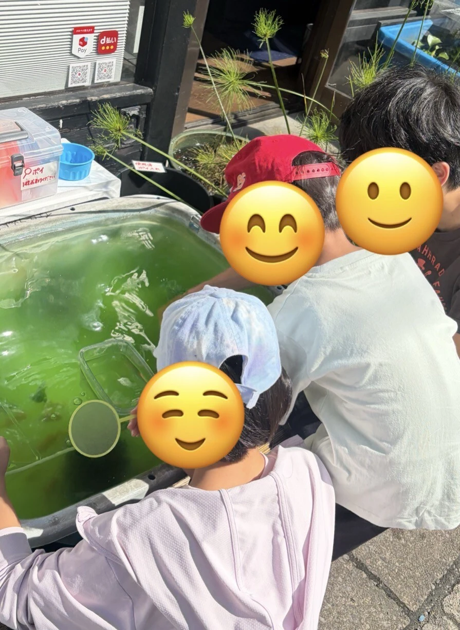 ダウンロード