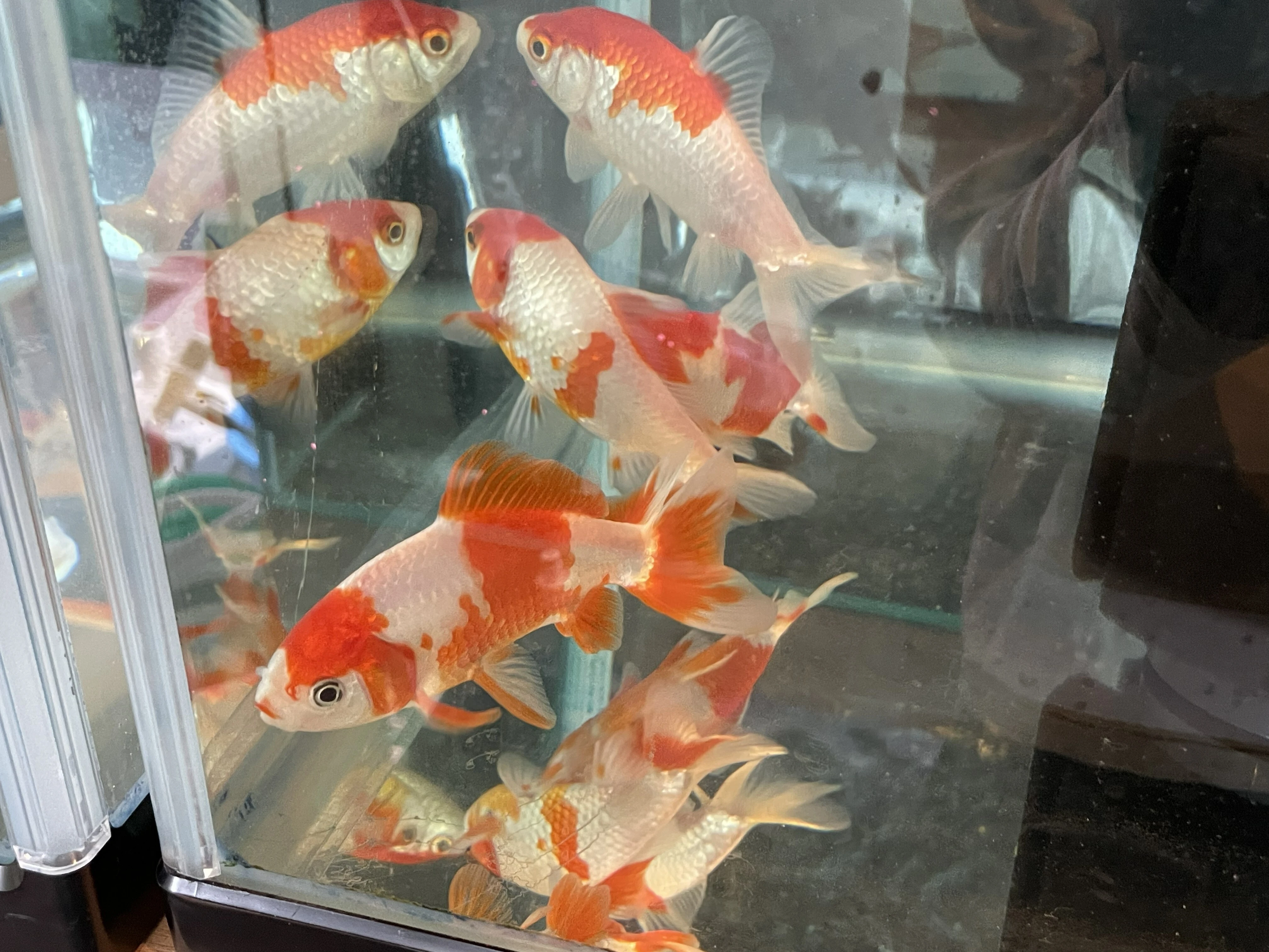 AdobeStock_267069464