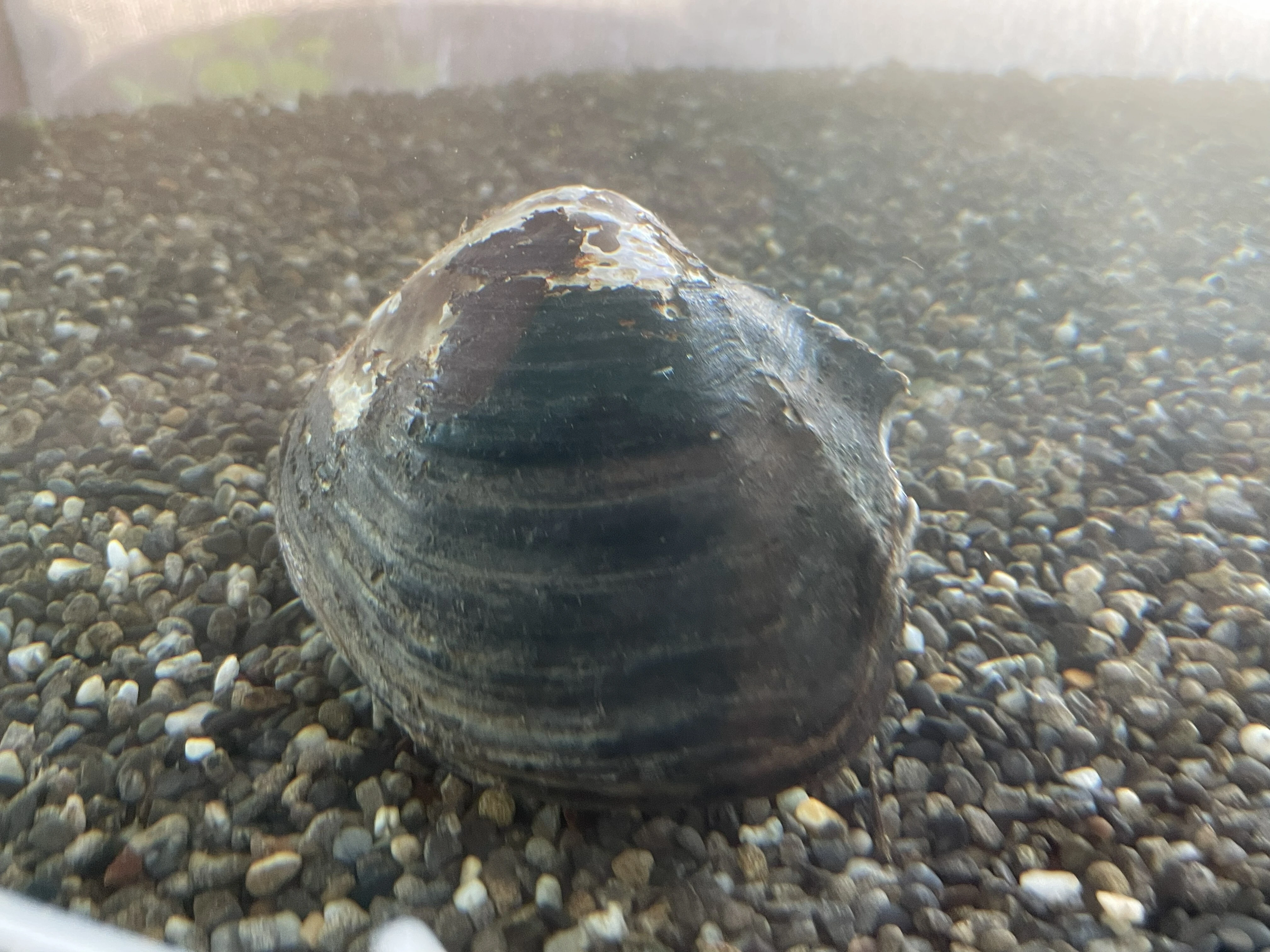 AdobeStock_267069464